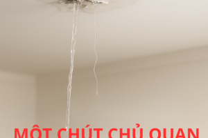 TẦM QUAN TRỌNG CỦA CHỐNG THẤM
